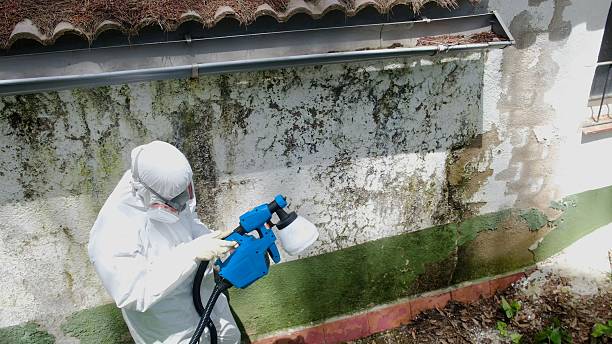 Top rated local Crawl Space Mold Remediation specialists in Houston, PA